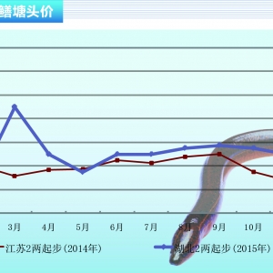 �S�X��������ȱ ���w�r�񷀶�������ˮ�aǰ�ء�2015��12�¿��Ј�څ��