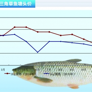 ���~����Ҏ����~�r�uڅ��ů������ˮ�aǰ�ء�2016��1�¿��Ј�څ��