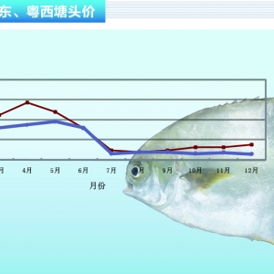 ���K���V�����V�|�r���µ� ���σr�񷀶�������ˮ�aǰ�ء�2016��1�¿��Ј�څ��