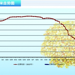 ���ף��A����(y��u)�����@ ���Ɩ|����������������ˮ�aǰ�ء�2016��2�¿��Ј�څ��