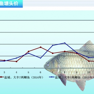 �a�~��1�»�С�����r������ˮ�a(ch��n)ǰ�ء�2016��1�¿��Ј�څ��