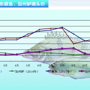 �Z�~���������Mһ������ ���п��q������ˮ�aǰ�ء�2016��1�¿��Ј�څ��