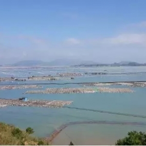 ϼ�ֺ����Bֳ����������Ʒ�|��������ͻ��֮��