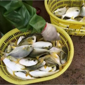 Խ�����K�~���������~�r�h�ȝqͬ�Ƚ�