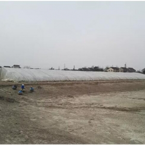 �������_�r�Bֳ����������������_2�fԪ