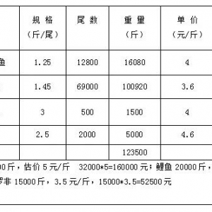 �_���~�Bֳ���g��R�����s�oһ�I�ղأ�