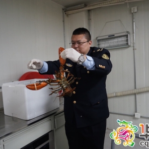 ���ô�ʿ�D���rֱ���ؑc �r�����2��