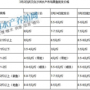 ���~�r���m���� �������������Բ��ݘ��^