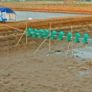 2016��Խ�ϰ߹����r�Bֳ�ɟ��c �a��������4.4%