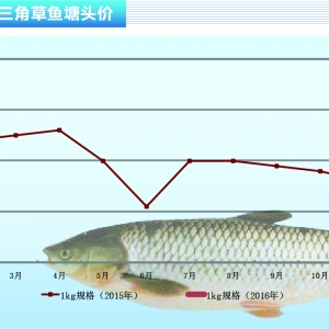 ���~��С���~�r����� �����ϝq���g������ˮ�aǰ�ء�2016��3�¿��Ј�څ��