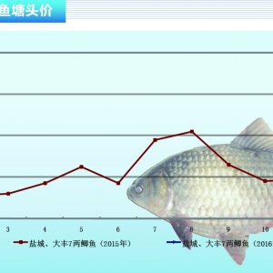 �a�~��3�³��~�r��С���ϝq ������ˮ�a(ch��n)ǰ�ء�2016��3�¿��Ј�څ��