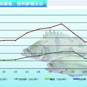 �Z�~�����~�e�O�Բ��� ������ˮ�aǰ�ء�2016��3�¿��Ј�څ��