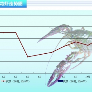 С���r���������� �Ј��Ե��� ������ˮ�aǰ�ء�2016��3�¿��Ј�څ��