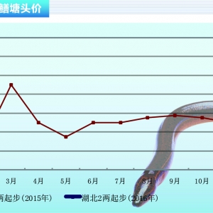 �S�X���r�񷀶������� ���Ƴɱ����L�U���P�I������ˮ�aǰ�ء�2016��3�¿��Ј�څ��