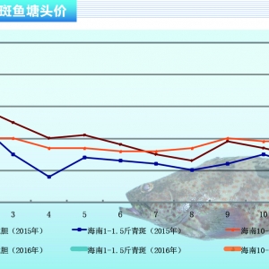 ʯ���~�������~�r�������@ ���w�r��ƫ�͡�����ˮ�aǰ�ء�2016��3�¿��Ј�څ��