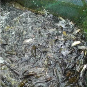 �S��~�r����m�ϝq �~����������ʢ ���ڽ���횷��ò�