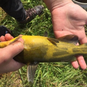 ُ�Nָ�� | �S��~�Ј�(ch��ng)���鿴�ã����B(y��ng)ֳ������äĿ���L(f��ng)