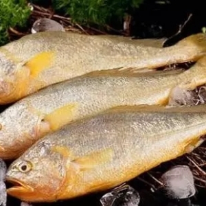 ُ�Nָ��|�͜�Ӱ�������S�~���p�a(ch��n)4����r(ji��)�ϝq40-50%