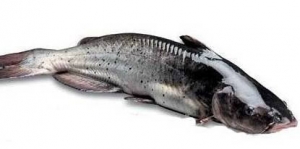 �����t�~����������һ�P�ܴ���壿