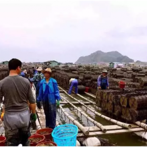 ����ϼ�ֺ�����ُ�̐��≺�r �B(y��ng)ֳ��Ī�ֻŒ���