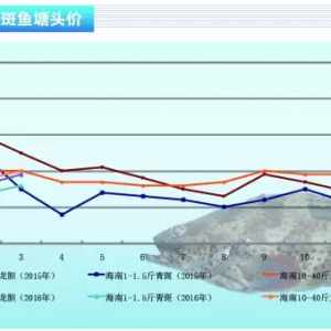 ʯ���~�r���m���� �Ј��r���y����ɫ