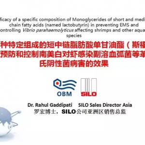 ���ƌ��rEMS��˹�����V���P�I�c������