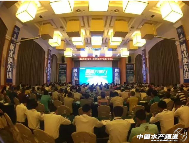 ͨ���ɷݽ�����Ҫ��(zh��n)�Ԅ�(d��ng)���ҕ�