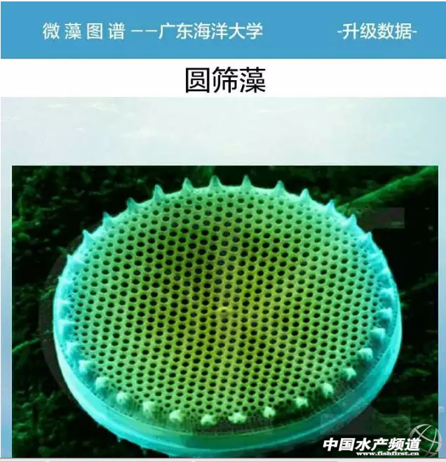 ȫ��(gu��)�׿΢��D�V���֙C(j��)ܛ���l(f��)��