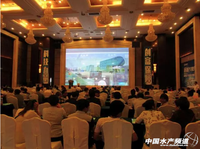 ��ͨ���|(zh��)���f(w��n)���С� �����B(y��ng)�r����֮·