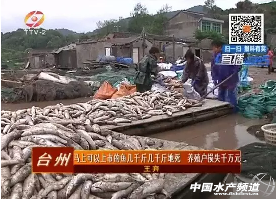 �㽭�؎X�����е��~�������E�������B(y��ng)ֳ���pʧǧ�f(w��n)Ԫ