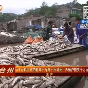 �㽭�؎X�����е��~�������E�������Bֳ���pʧǧ�fԪ