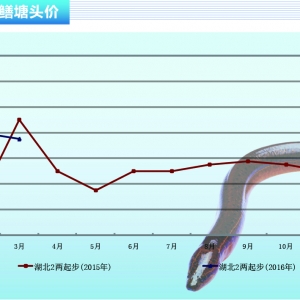 �S�X���r���wƽ�� ������̽��څ�ݡ�����ˮ�aǰ�ء�2016��4�¿��Ј�څ��