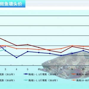 ʯ���~���r����m���� �Ј��r���y����ɫ������ˮ�aǰ�ء�2016��4�¿��Ј�څ��