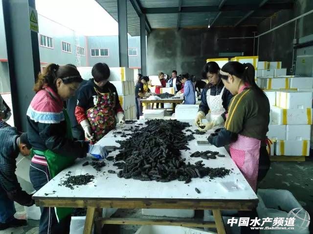 ϼ�ֺ������Ƽ����չ٣��r���������vʷ���