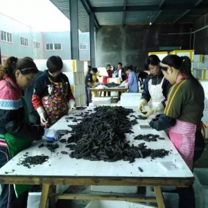 ϼ�ֺ������Ƽ����չ٣��r���������vʷ���