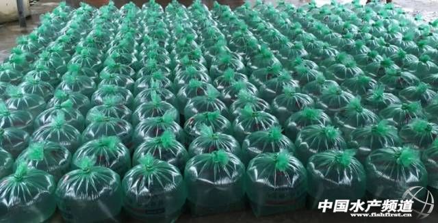 ��·ˮ�a(ch��n)�Ј�(ch��ng)��(b��o)�棺�A���_���~�����ʡ�Ͷ�����^�켰�����A(y��)�y(c��)