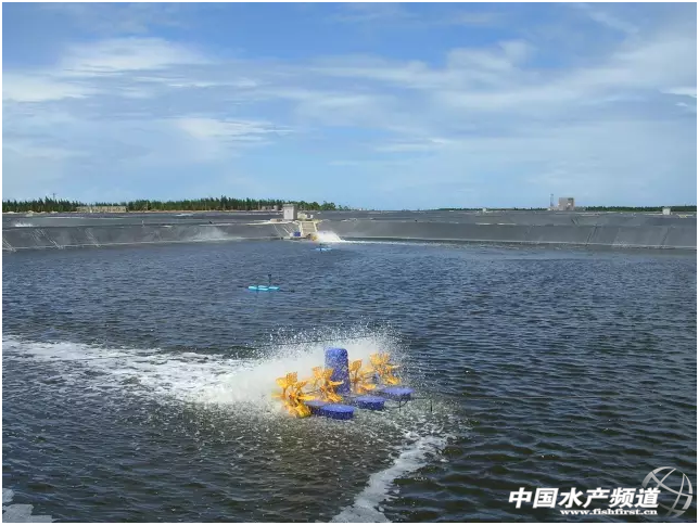 ȫ��(gu��)12���B(y��ng)�rʡ��4�·݄�(d��ng)�B(t��i)�R�������B(y��ng)ֳ�Ը�Σ�\(y��n)�У��A���غ���F(xi��n)���r��(zh��ng)�G�ľ���