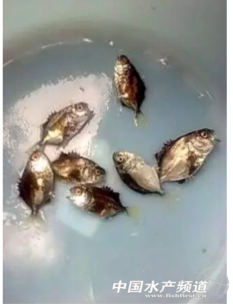 ���؁�(l��i)�Ľ��K�~��Ȼ�����ͱ��l(f��)܇݆�x����ô�k��