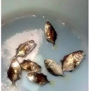 ���؁��Ľ��K�~��Ȼ�����ͱ��l܇݆�x����ô�k��