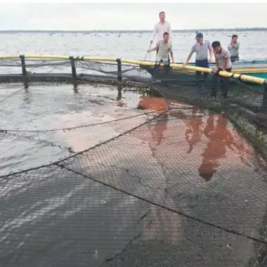 տ��������ɳ���^ͻ�l�ೱ�������Bֳ��Ͷ���K�~��ȫ����