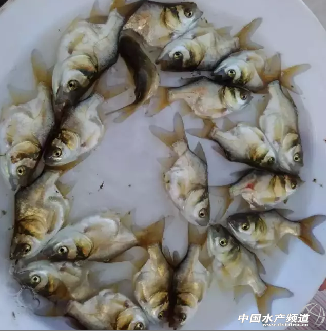 ��ُ(g��u)�r(ji��)�j��11Ԫ/������߀һ���~���y��Ŀs�Ǵ��^����(sh��)�H�[��Σ�C(j��)������Q����