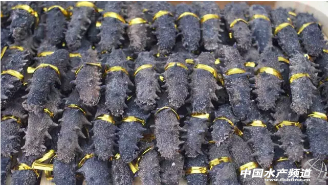 ��������ֶβ�������(j��)����ݚ���������(g��)�����ИI(y��)��