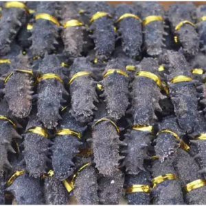 ��������ֶβ�����������ݚ��������������ИI��