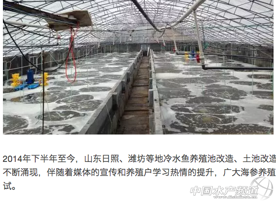 ������(du��)�r�Ј�(ch��ng)���F(xi��n)���c(di��n)�������B(y��ng)ֳ���Ѕ^(q��)���D(zhu��n)�B(y��ng)���r��څ��(sh��)����Ԕ��(x��)���췽����