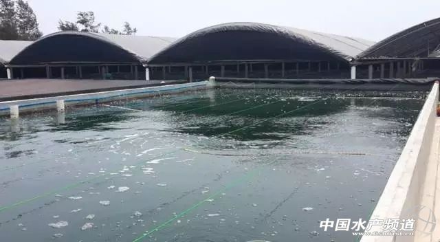 ������đ��N�r(ji��)���@ô�ߣ���(bi��o)���(ch��ng)��Ψ�첻�ơ��Ľ^�����İ㣿