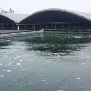 ������đ��N�r���@ô�ߣ��������Ψ�첻�ơ��Ľ^�����İ㣿