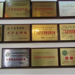 ��Ʒ�ơ����r�磬��ʼ���Kֻ�ǡ����ơ�