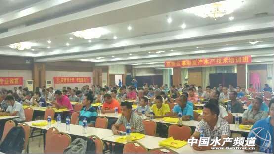 2016����c��β�t�Bֳ��e�������20%