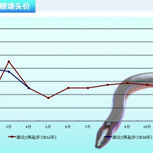 �S�X��С�X�~�r��� Ҏ���X�~�r�񷀶�������ˮ�aǰ�ء�2016��5�¿��Ј�څ��
