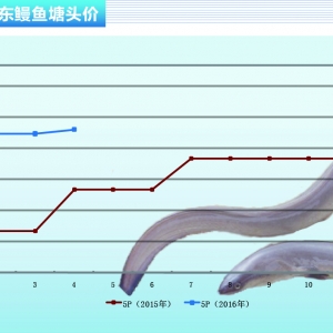 ���~���ֲ��Ј��~�r�����ϝq������ˮ�aǰ�ء�2016��5�¿��Ј�څ��